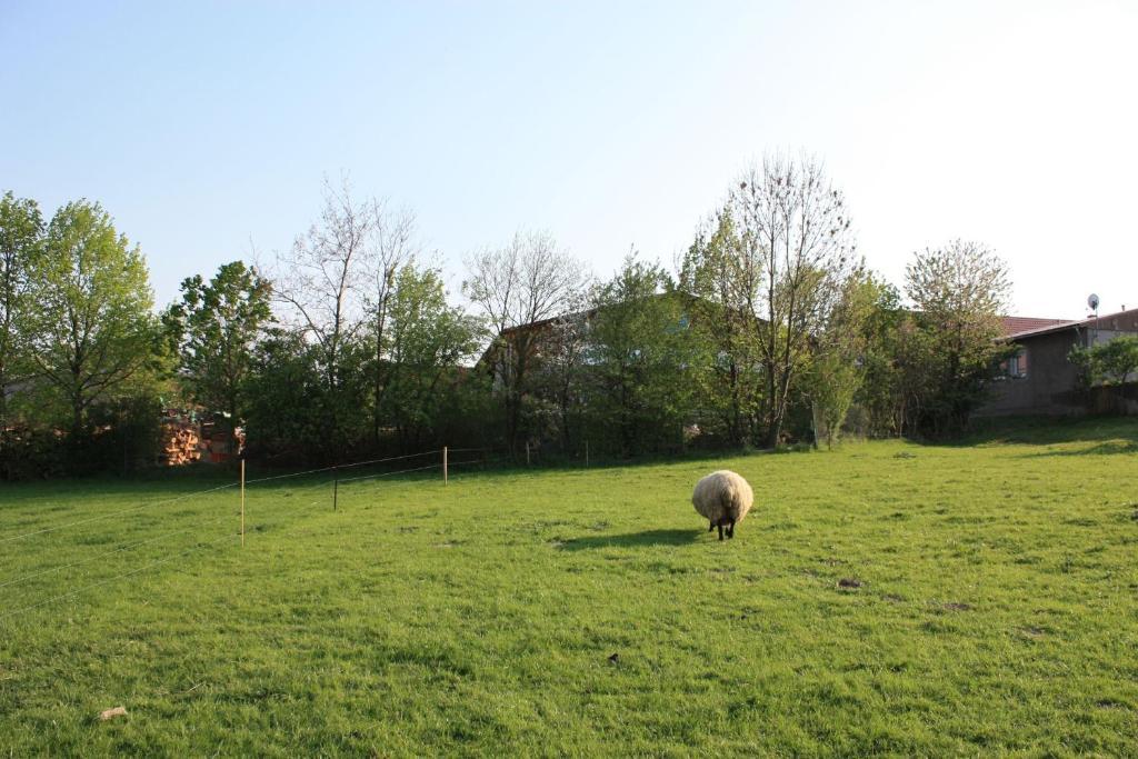 Landhotel Rosenschaenke Kreischa Luaran gambar