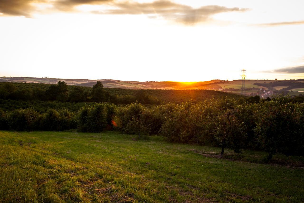 Landhotel Rosenschaenke Kreischa Luaran gambar